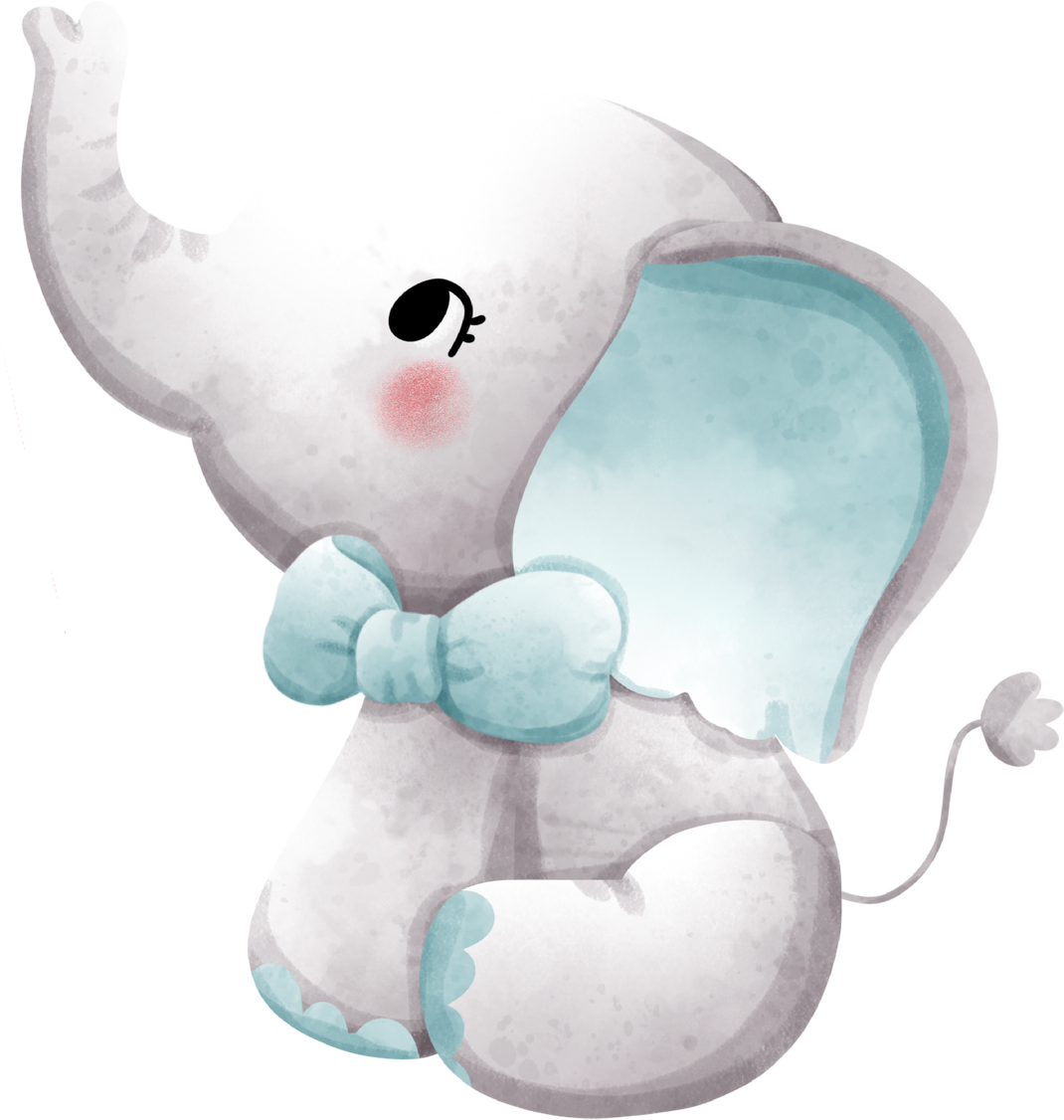 baby boy elephant